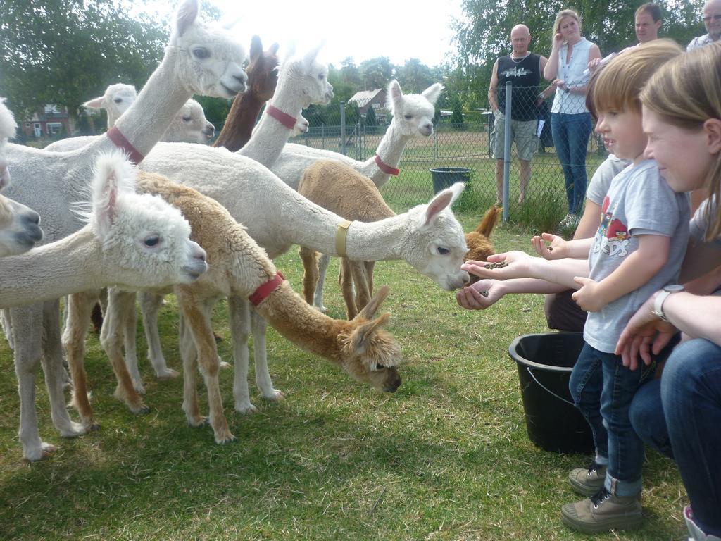 De Alpacaboerderij Διαμέρισμα Μπόχολτ Εξωτερικό φωτογραφία